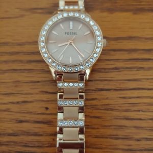 Beautiful Fossil Watch